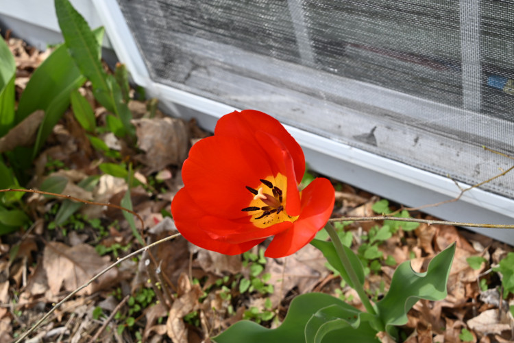 DSC_2559.jpg