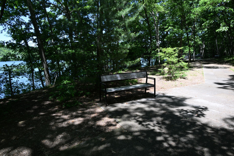 DSC_3057.jpeg